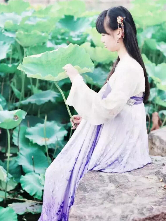汉族历代人口_中国历代人口曲线图(2)