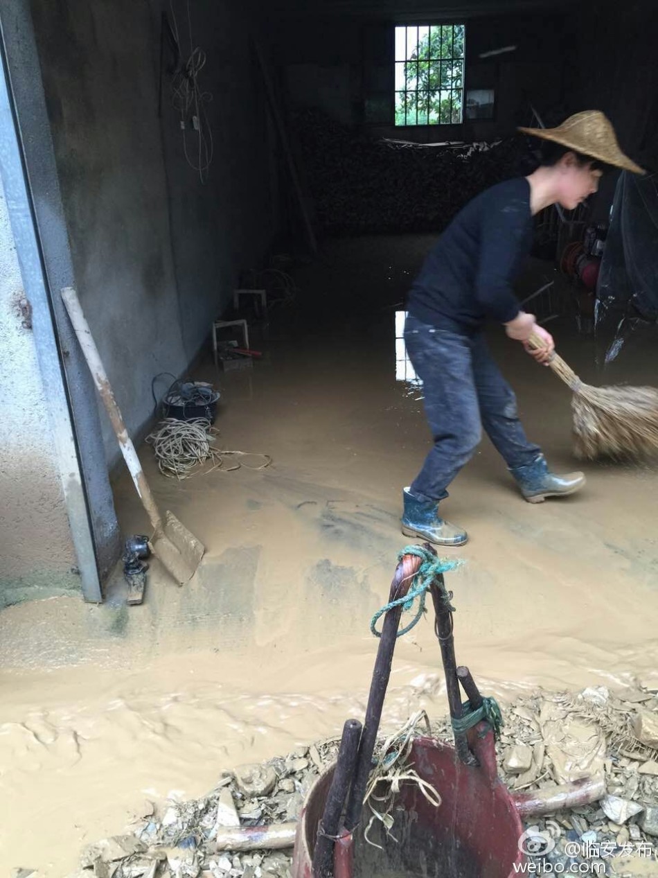 临安有多少人口_临安市旅游团购(3)