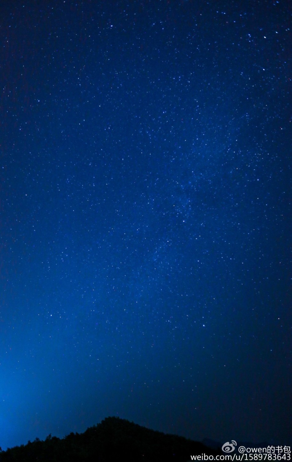 35533_5292205_399044.jpg