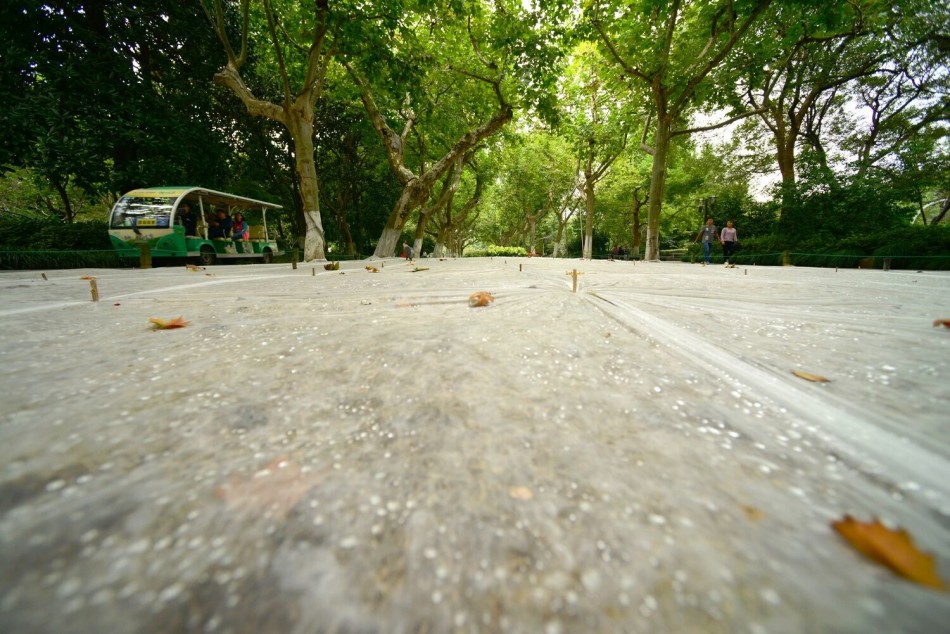 怎么种草坪种子视频 35533_5346500_578540.jpg