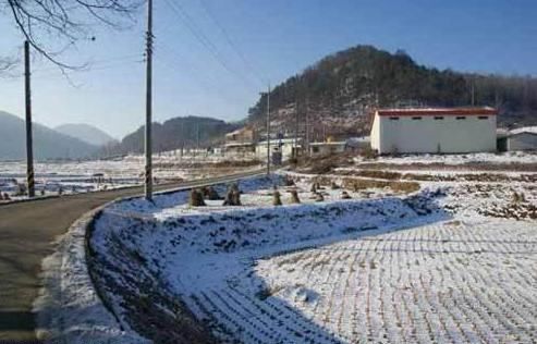 韩国的人口有多少_韩国国土有多大 人口多少,有哪些变化呢(2)