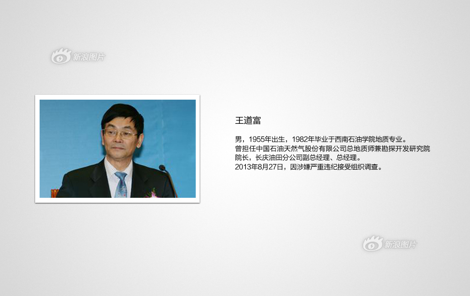 中石油大学_中石油 勘探院 收入(2)