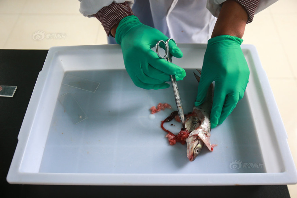 dnf隐形药和死亡复活药叫什么?刷异界用-dnf异