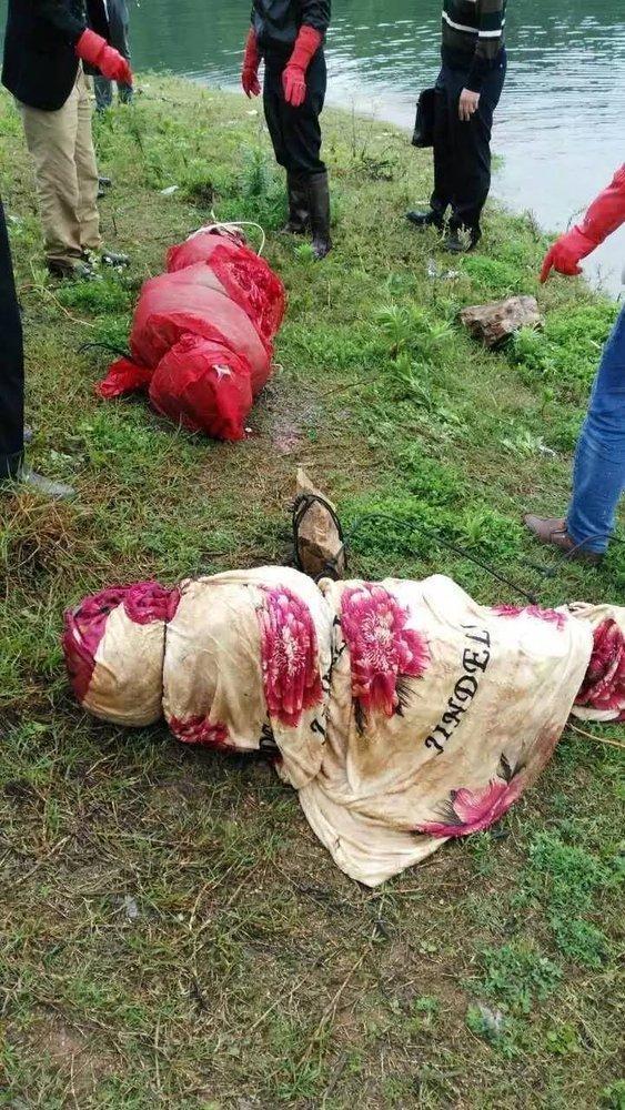 大石植村人口多少_丹乡论坛,垫江新闻网,垫江论坛,大石乡春耕打技术牌,确保农(3)