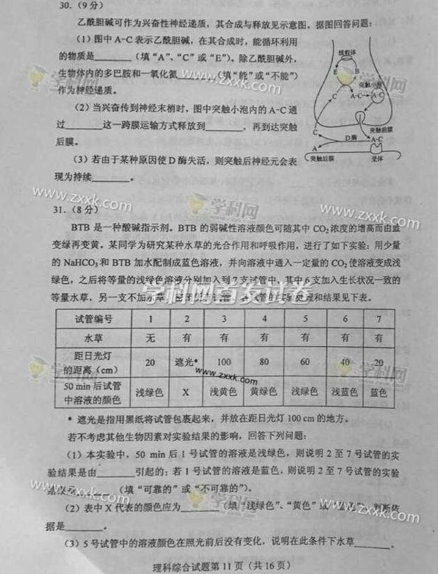 湖北哪些院校取消三本