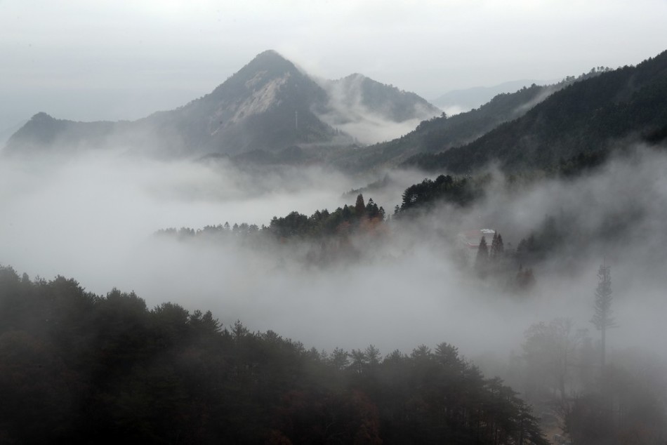 湖北罗田大别山薄刀峰云海似仙境