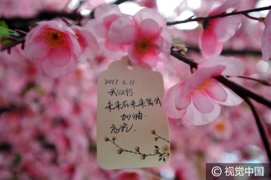 仿真桃花挂满祝福卡 市民借"花"传情达意