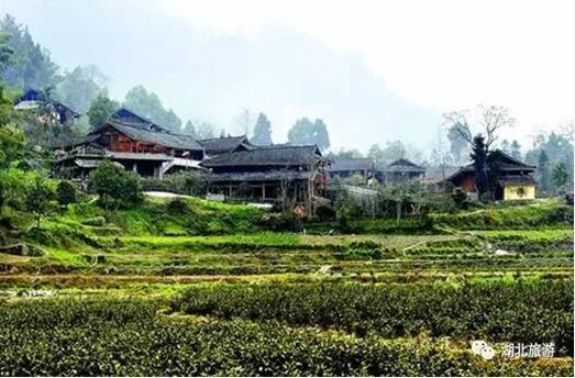黔江区后坝 人口_诗和远方伴春行 清明小长假重庆黔江各景区人气旺(2)