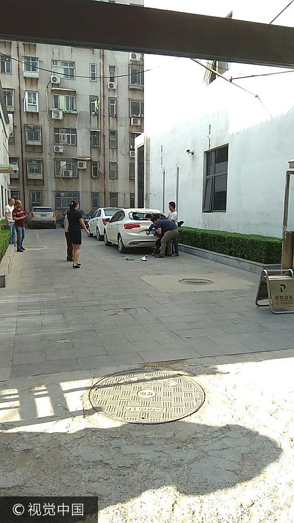 姓邵的人口_...证得知,该男子姓邵,东北人.他说,自己来西安交货,住旅馆被...