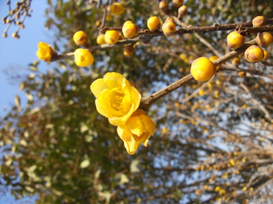 28617_753545_251615.jpg