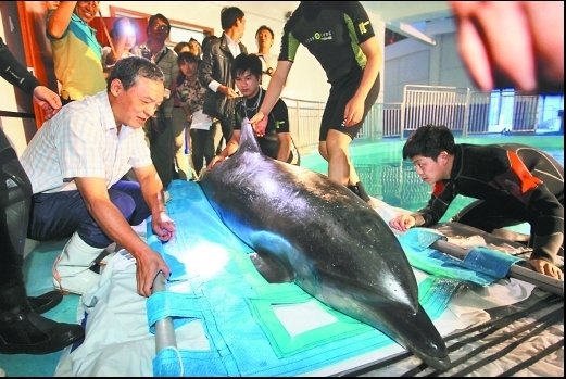永川人口分布_永川乐和乐都