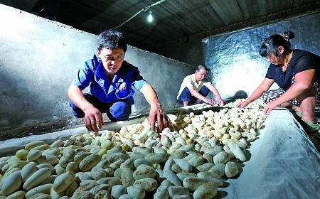 3蛋50人口翻盘_分20组,每组50人每组将评选出最短时间成功立蛋的参赛者获得冠(2)