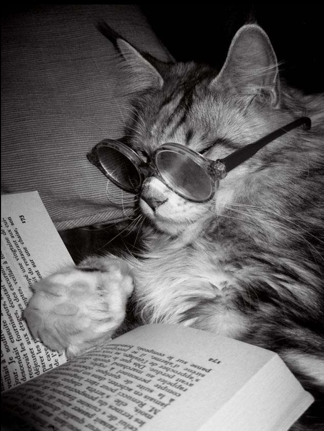 一钱丢前程 赵简子爱士 食喻 观弈 的文言文翻译