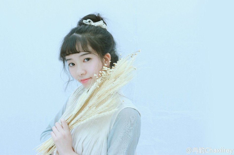 职业摄影师收入_摄影师收入(3)