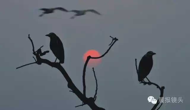 人口的自然构成_自然形态设计构成图片(2)