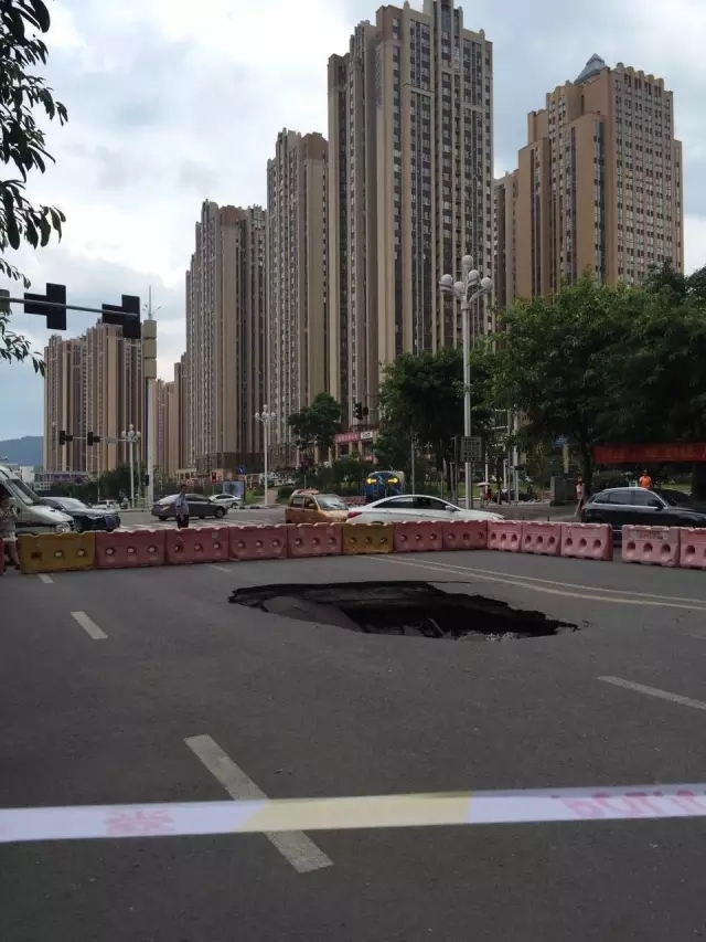 弹子石人口_金弹子盆景图片(2)