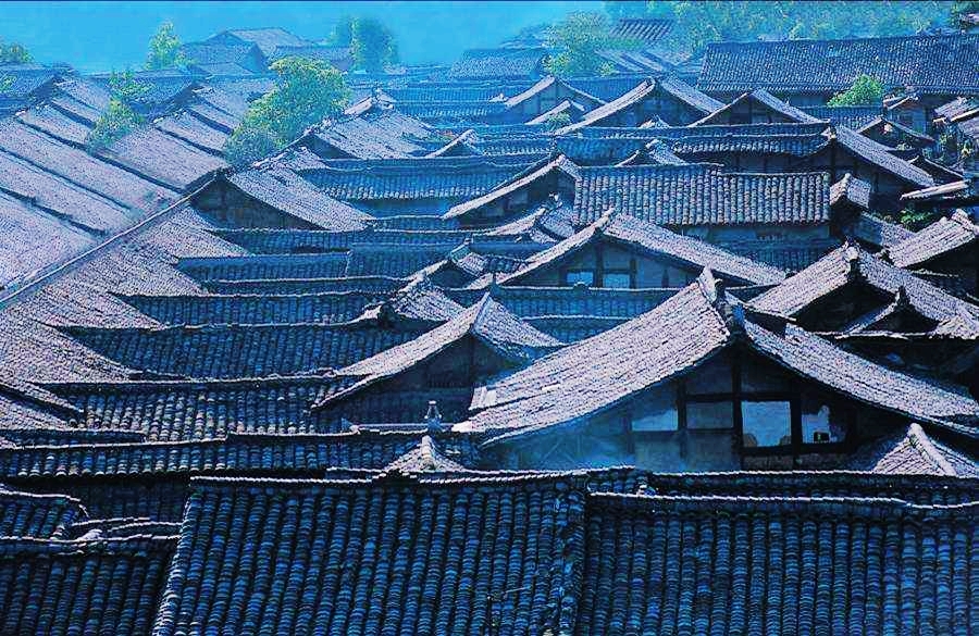 閬典箟绾界害绾界害濠氱_大龟甲师孙绾绾的图片(2)