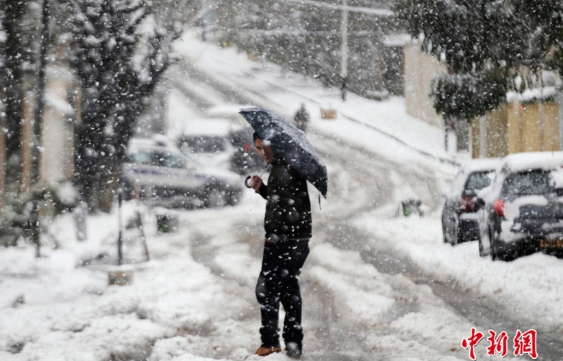 欧洲部分地区遇极寒天气图片 327945 822x