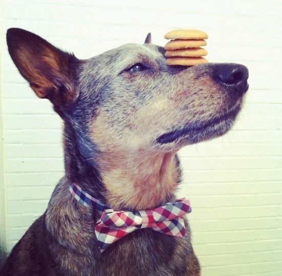 如何拥有超级杰克 21342_1922870_781201.jpg