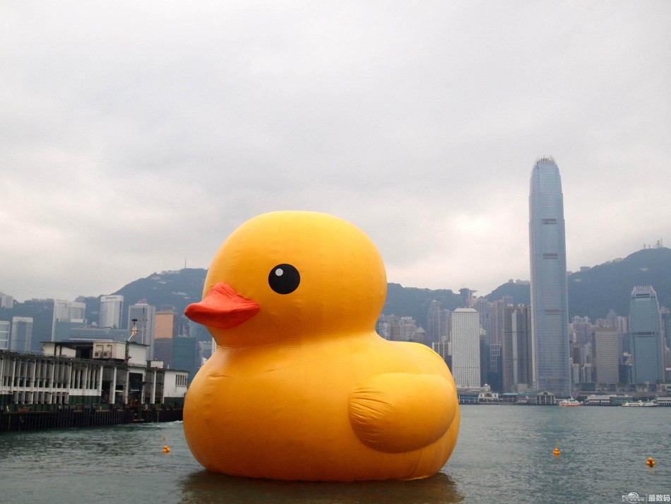 鸭子港人口_鸭子卡通图片(2)