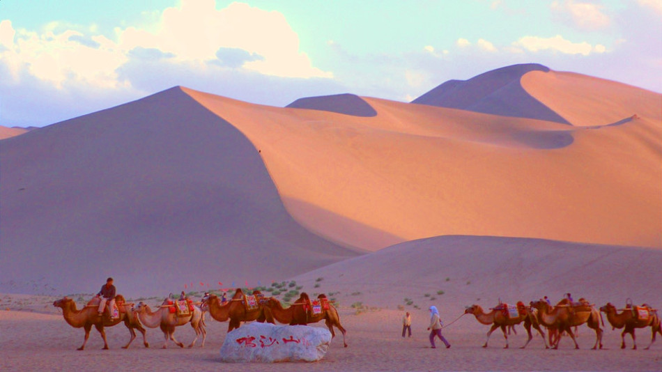 绿洲中的领主图片