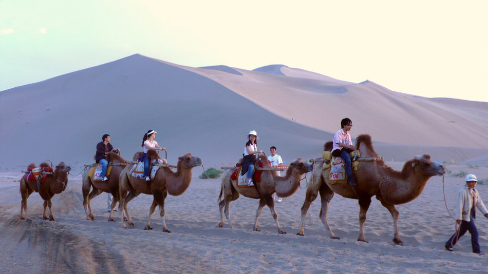 绿洲中的领主图片