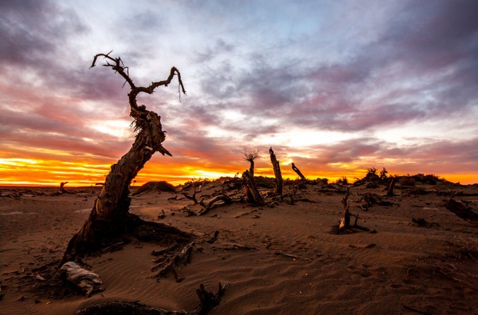 杨树东人,办理港澳通行证要去哪里?要去阿里河