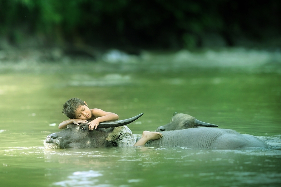 Nơi dòng sông chảy vào nỗi nhớ....