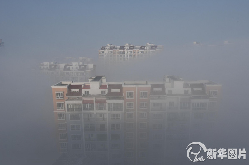 五家渠市有多少人口_...日下午,记者在五家渠市富强路步行街西面路口拍下这样(3)