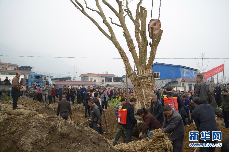 绵竹市人口_德阳岸上渔家团购118元 百度糯米烤鱼团购(3)