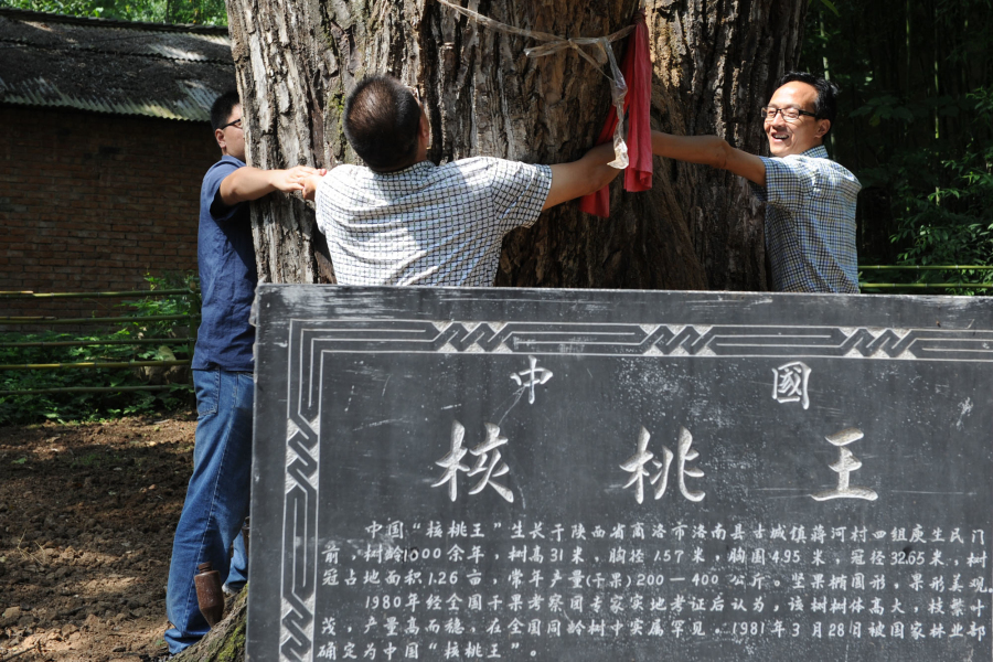 洛南县人口_两车在洛南迎面相撞7人受伤 弯道路面结冰所致(3)