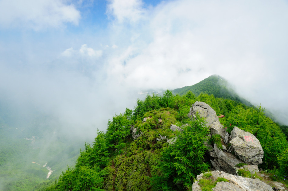 太白县人口多少_太白县崖岭雪景图片