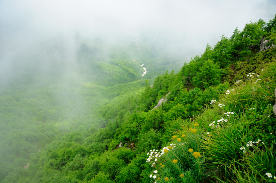 太白山人口_太白山风景图片(2)