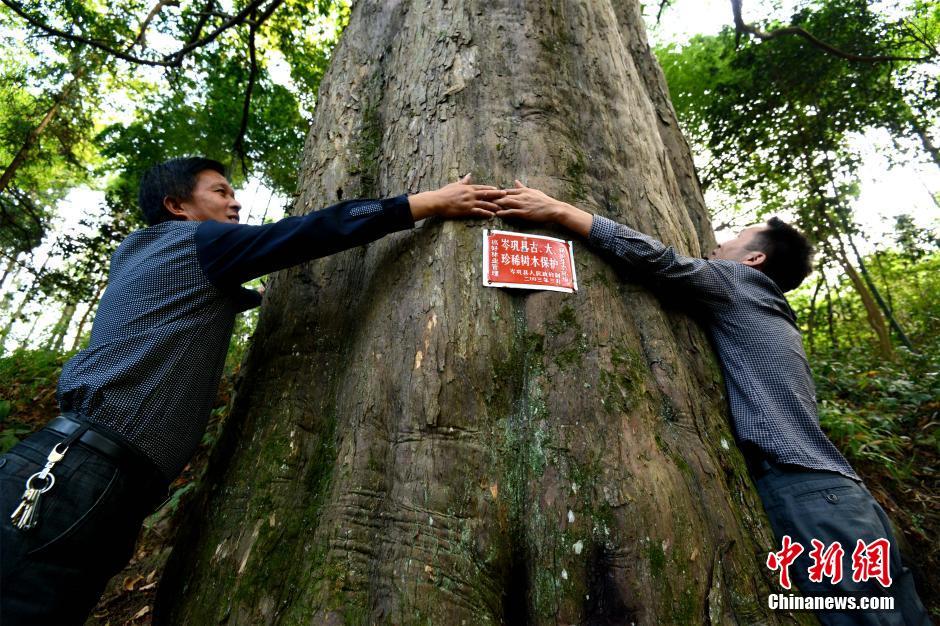 贵州芩巩县人口_2015贵州岑巩县招聘事业单位人员考点设置公告