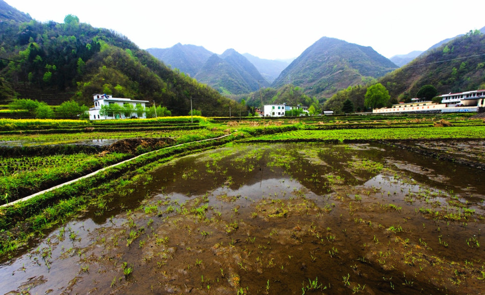 巴仁镇人口_新疆喀什地区加强基层基础建设工作推进会在伽师县召开(2)