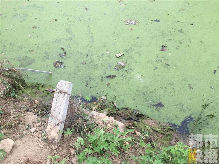 寻找和李玖哲的声感一样的歌手旋律好听的歌曲