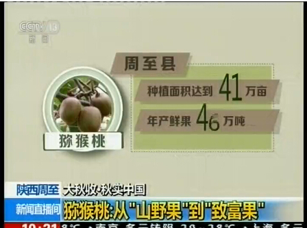 迪拜人均月收入_人均月收入10000
