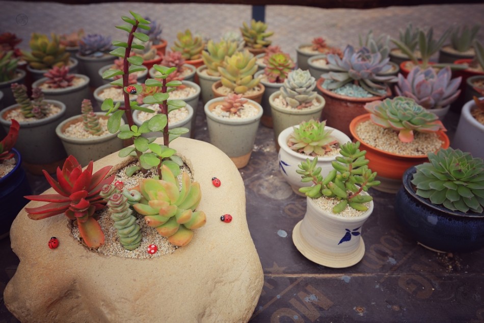 童年读书记趣 阅读答案-程树榛童年读书记趣的