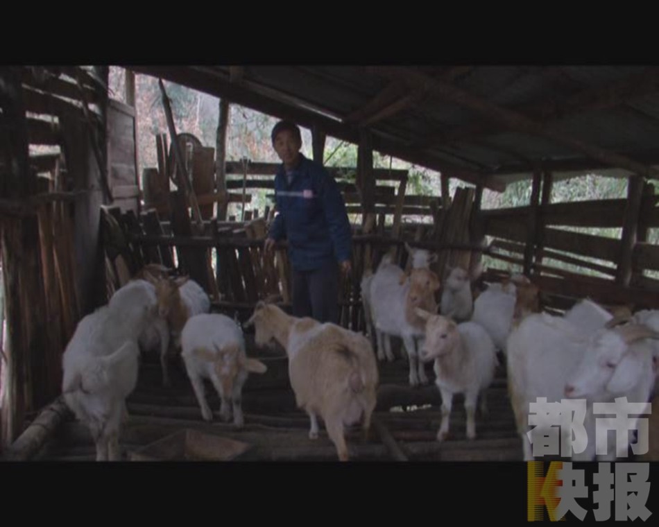 天结息的钱也要等到第二天才能转入银行帐户吗