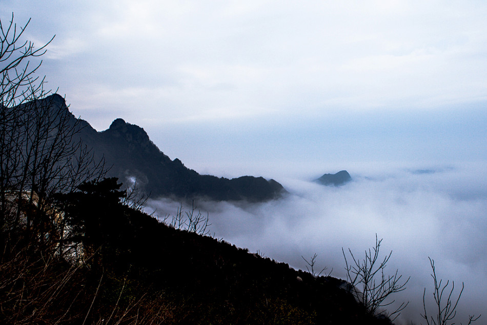 云海 鳳凰山上鳳凰飛