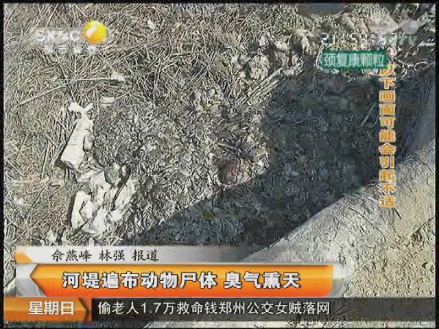 姓高的人口数量_日本人口数最多的姓氏排名