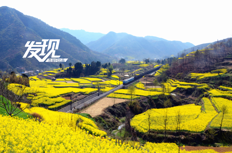 宝贝沫沫的妈妈的微博