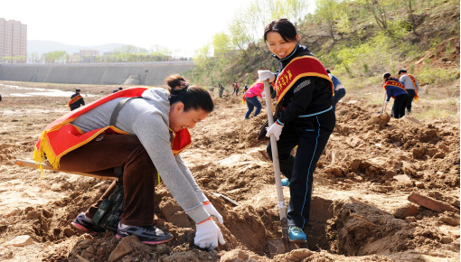 延安市宝塔区人口_延安市宝塔区人口和计划生育局(3)