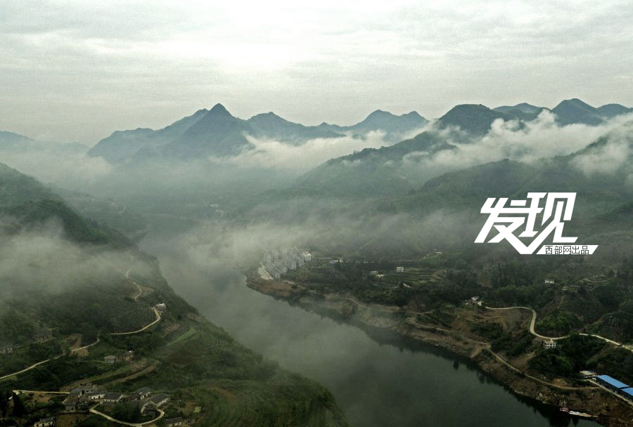 陕南人口由来_植树节的由来(2)
