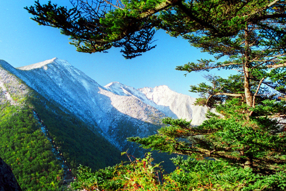 太白县人口_太白县崖岭雪景图片(2)