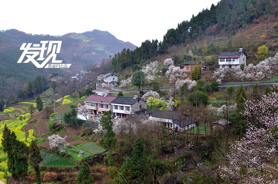 宁强县二郎村有多少人口_宁强县地图