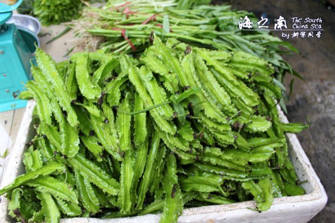 海南带海鲜特产有哪些_海南海鲜价格图片_海南特产海鲜