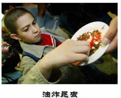 最恶心的国家_世界上各国最恶心最残忍的吃法 有助减肥