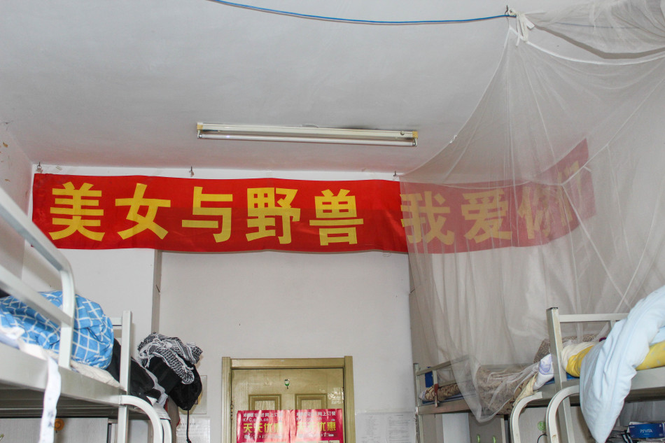 东北大学大四的大补好过吗?就差一科材力了,找