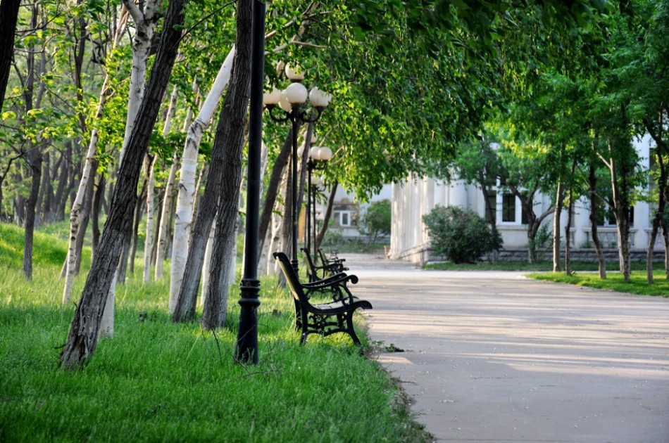 中国好大学之沈阳城市学院